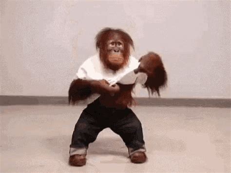 Share the best GIFs now >>>. . Fat monkey gif
